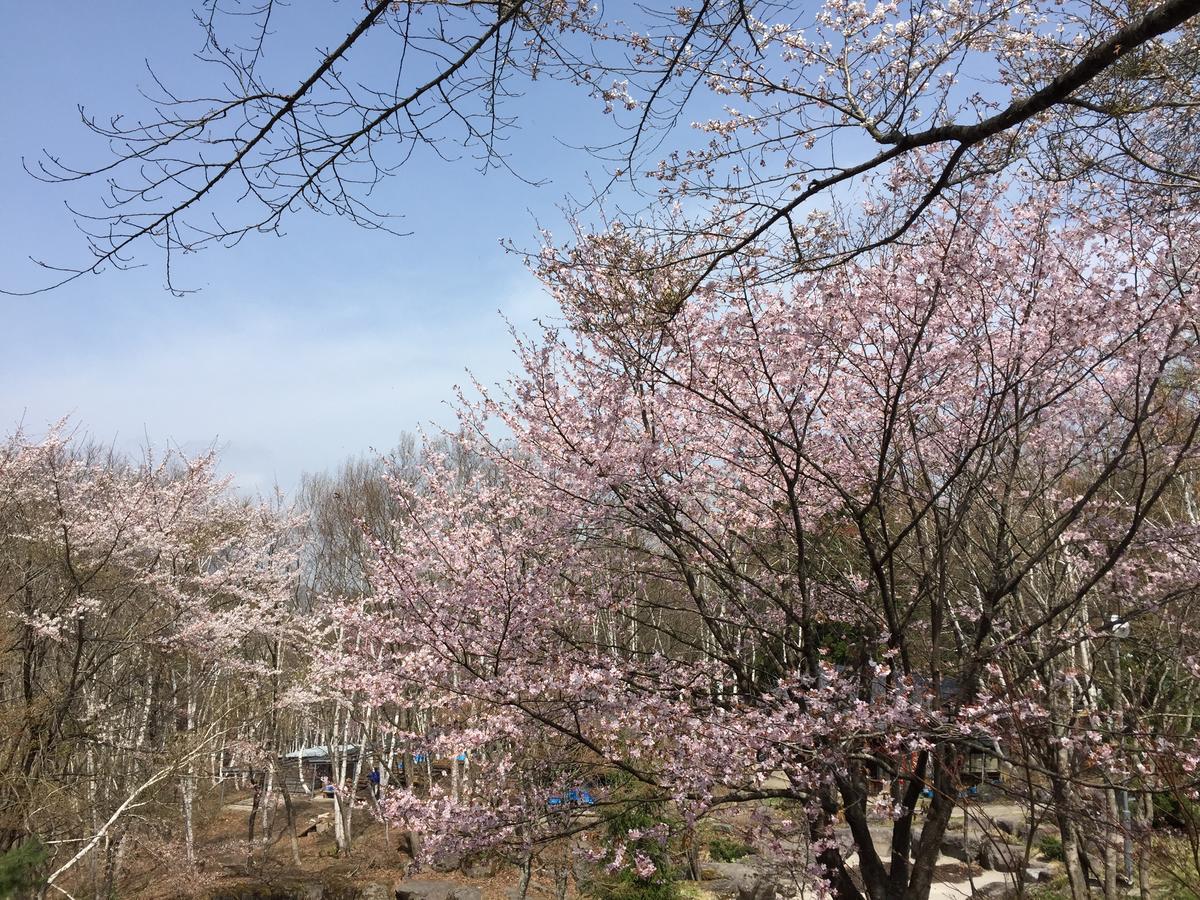 Hotel Tagawa Yamanouchi (Nagano) Exterior foto